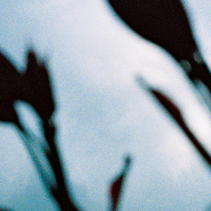 我不卡爱爱爱视频
